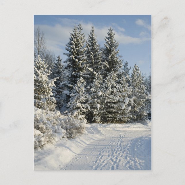 Postal paisaje de invierno (Anverso)