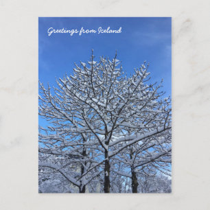 Postal Paisaje de Islandia