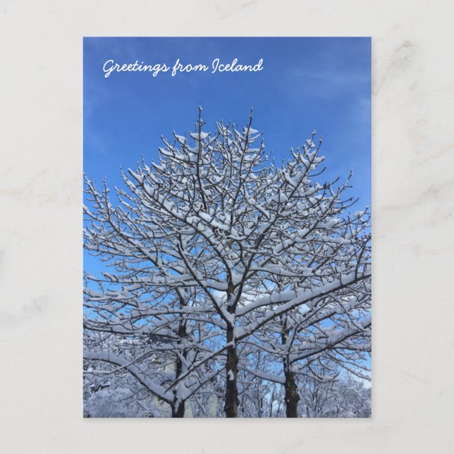 Postal Paisaje de Islandia (Anverso)