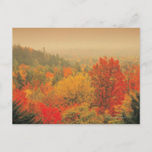 Postal Paisaje de la caída, New Hampshire, los E.E.U.U.