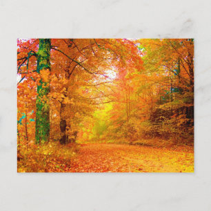 Postal Paisaje de la naturaleza de la multa del otoño de