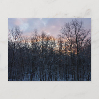 Postal Paisaje de la Naturaleza del Sol Invierno I Pastel