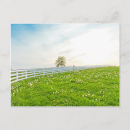 Postal Paisaje de la primavera del país