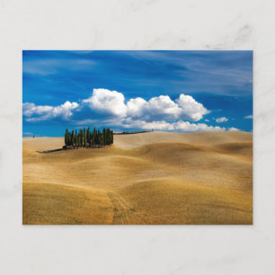 Postal Paisaje de las llanuras toscanas (Italia)