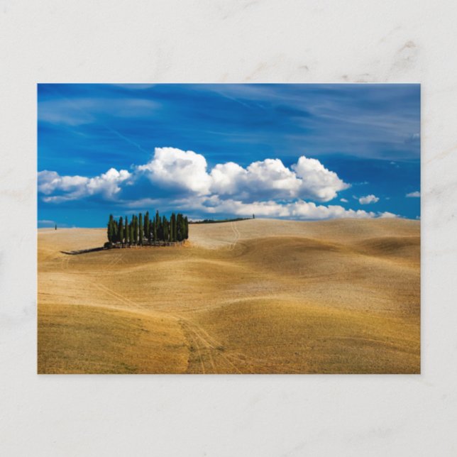 Postal Paisaje de las llanuras toscanas (Italia) (Anverso)