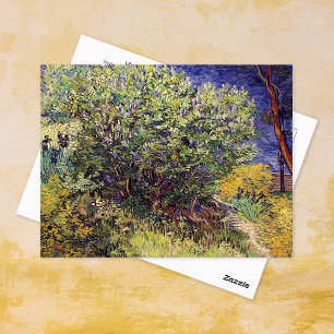 Postal Paisaje de Lilac Bush Vincent van Gogh