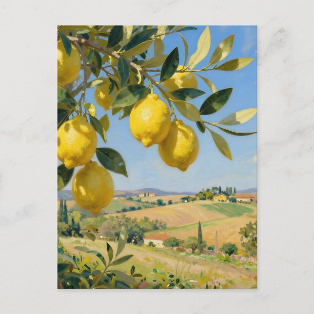Postal Paisaje de limonero toscano (Anverso)