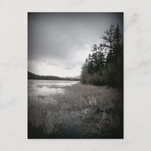 Postal Paisaje de Marsh Lake de B&W