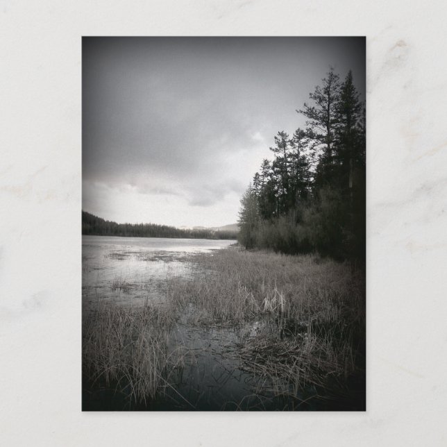 Postal Paisaje de Marsh Lake de B&W (Anverso)