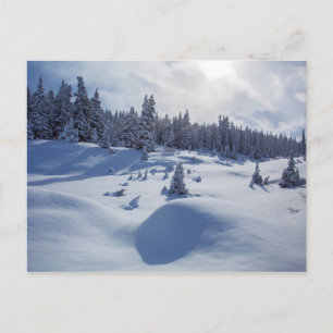 Postal Paisaje de nieve