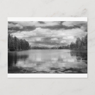Postal Paisaje de Northwoods