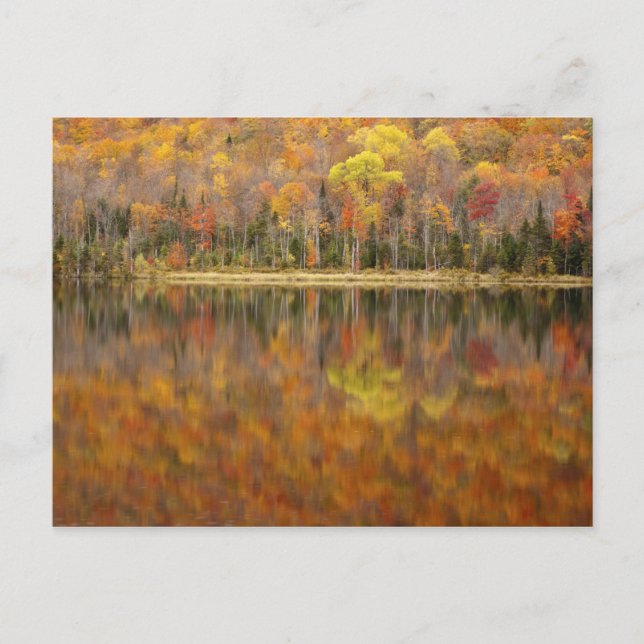 Postal paisaje de otoño con lago, Vermont, EE. UU. (Anverso)