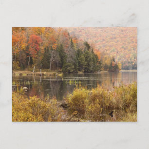 Postal paisaje de otoño con lago, Vermont, EE. UU. 3