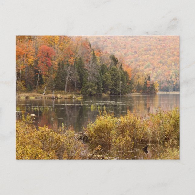 Postal paisaje de otoño con lago, Vermont, EE. UU. 3 (Anverso)