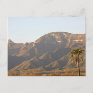 Postal Paisaje de rancho desértico cerca de Monterey, Méx