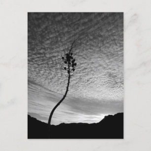 Postal Paisaje de Sky