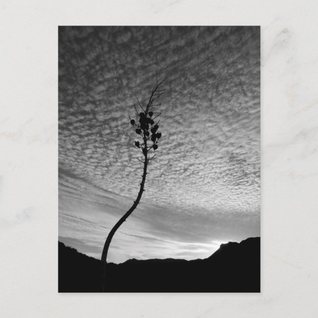 Postal Paisaje de Sky (Anverso)