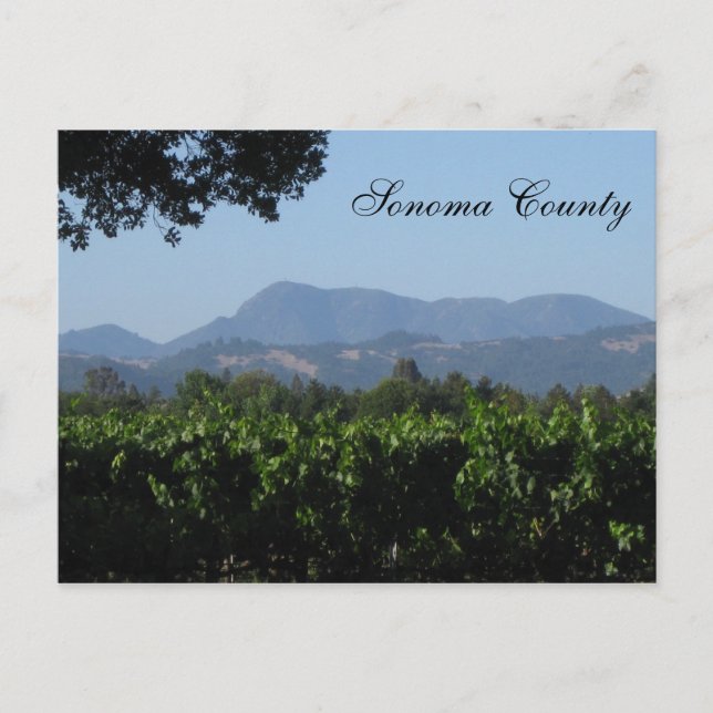 Postal Paisaje de Sonoma! (Anverso)