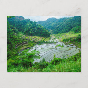 Postal Paisaje de terraza de arroz, Filipinas
