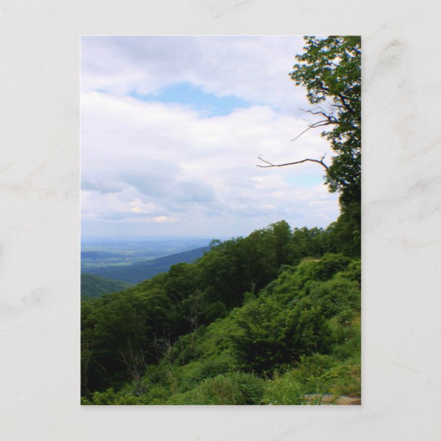 Postal Paisaje de Virginia (Anverso)
