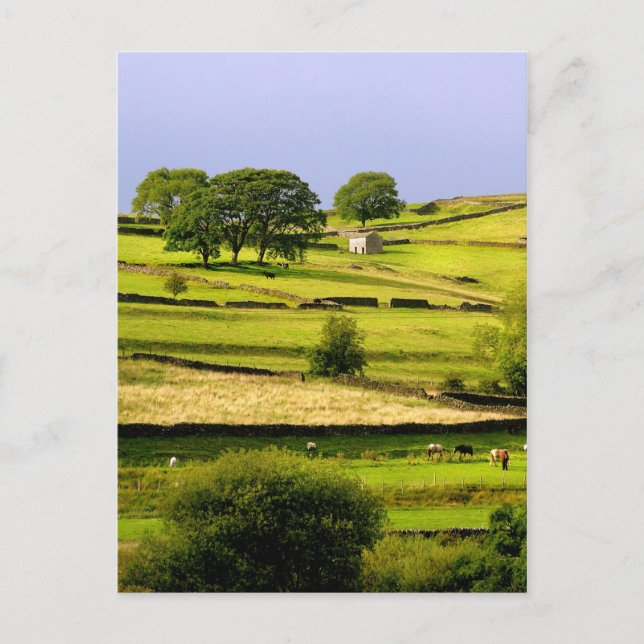 Postal Paisaje de Yorkshire (Anverso)