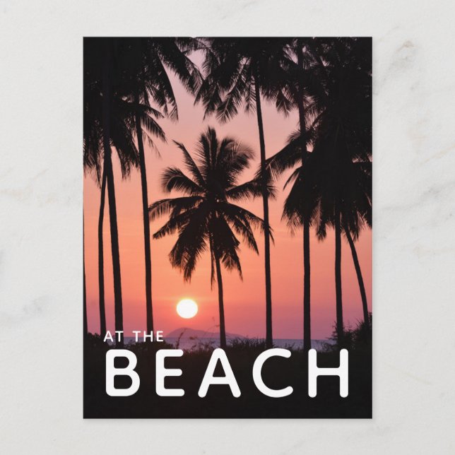 Postal Paisaje del árbol de palmas de coco (Anverso)