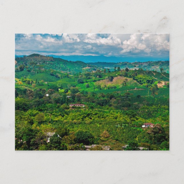 Postal Paisaje del café (Anverso)