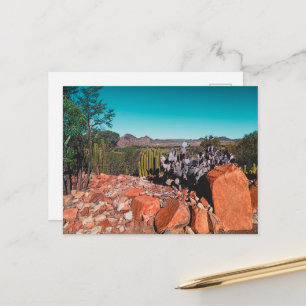 Postal Paisaje del desierto de África Naturaleza Cactus P