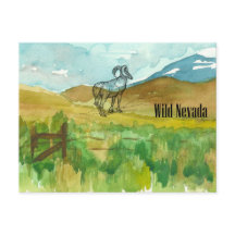 Paisaje del desierto de las ovejas salvajes de Nev