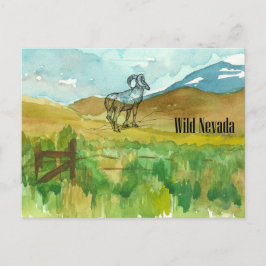 Postal Paisaje del desierto de las ovejas salvajes de Nev