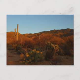 Postal Paisaje del desierto de Saguaro Sunset I Arizona