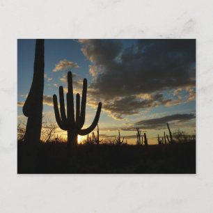 Postal Paisaje del desierto de Saguaro Sunset II Arizona