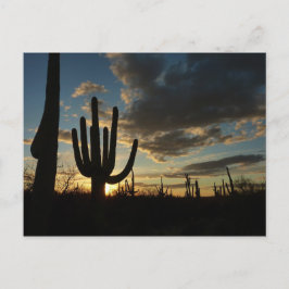 Postal Paisaje del desierto de Saguaro Sunset II Arizona