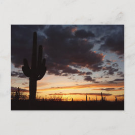 Postal Paisaje del desierto Saguaro Sunset III Arizona