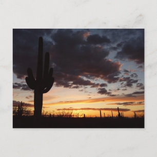 Postal Paisaje del desierto Saguaro Sunset III Arizona
