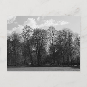 Postal Paisaje del parque, Bute Park, Cardiff, Gales, Rei