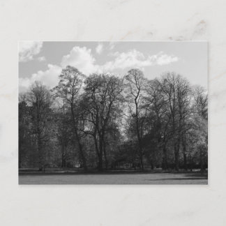 Postal Paisaje del parque, Bute Park, Cardiff, Gales, Rei