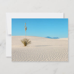 Postal Paisaje del Parque Nacional de las Arenas Blancas 