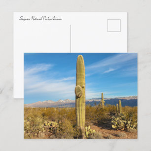 Postal Paisaje del Parque Nacional de Saguaro