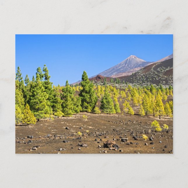 Postal Paisaje del Parque Nacional del Teide en Tenerife (Anverso)