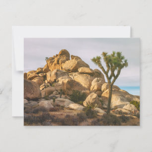 Postal Paisaje del Parque Nacional Joshua Trees