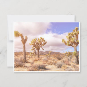 Postal Paisaje del Parque Nacional Joshua Trees de Califo