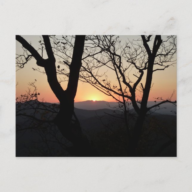 Postal Paisaje del Parque Nacional Shenandoah Sunset (Anverso)