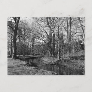 Postal Paisaje del Parque - Parque Bute, Cardiff