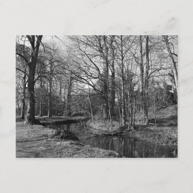 Postal Paisaje del Parque - Parque Bute, Cardiff (Anverso)