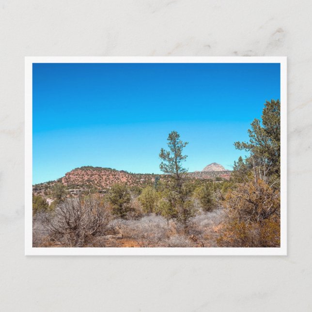 Postal paisaje desértico (Anverso)