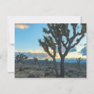Postal Paisaje desierto de árboles de Joshua en Californi