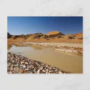 Postal Paisaje desierto de Namib en Sossusvlei relleno