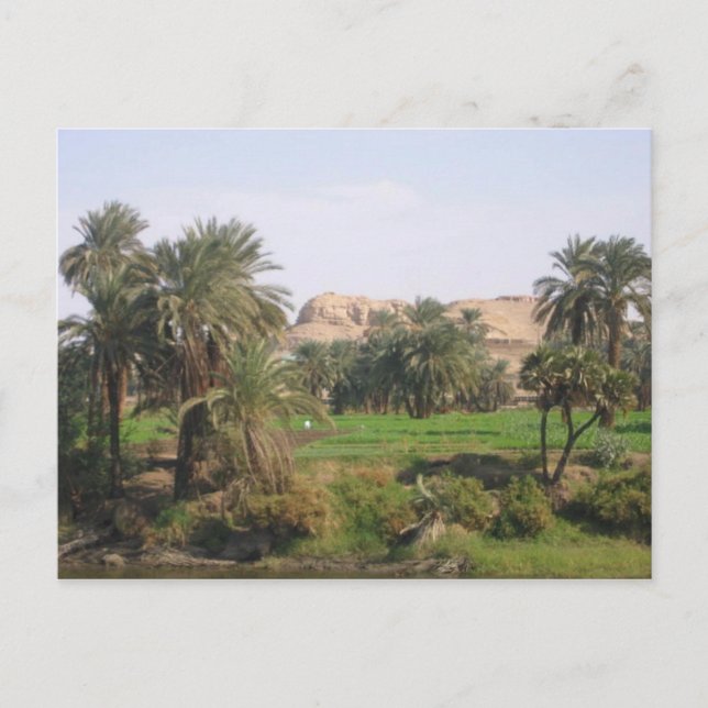 Postal Paisaje egipcio (Anverso)