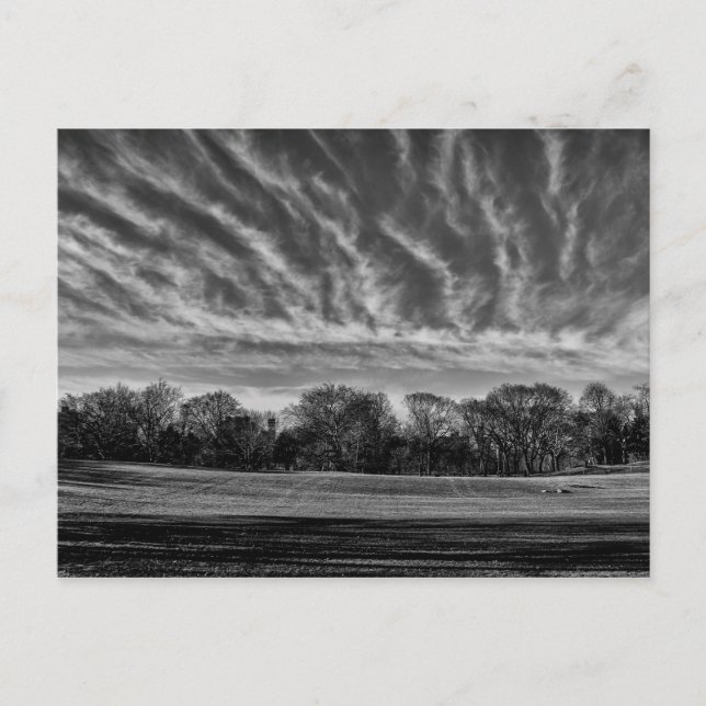 Postal Paisaje en blanco y negro - Foto de Central Park (Anverso)